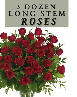 3 Dozen Long Stem Roses