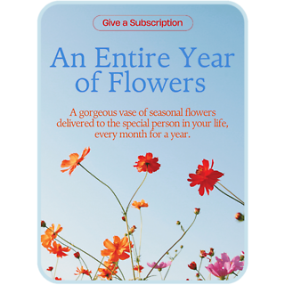 12 Month Subscription of Flowers