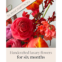 Designer\'s Choice Hanukkah Flowers